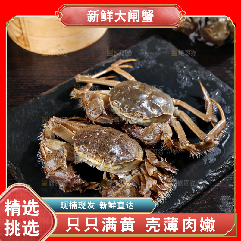 深底上的阳澄湖大闸蟹