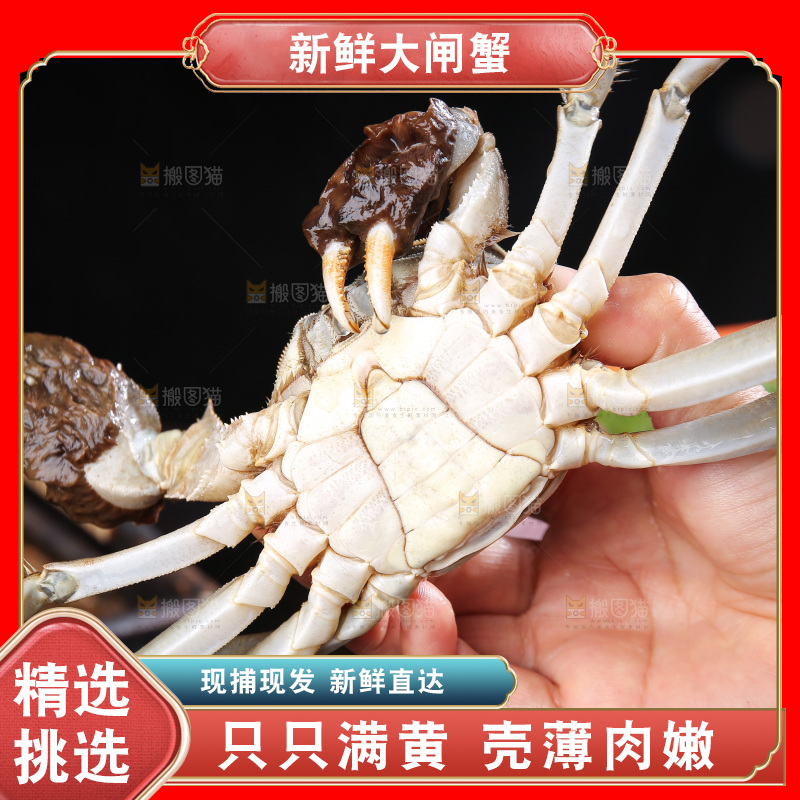 深底上的阳澄湖大闸蟹