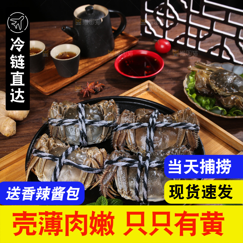 深底上的新鲜大闸蟹