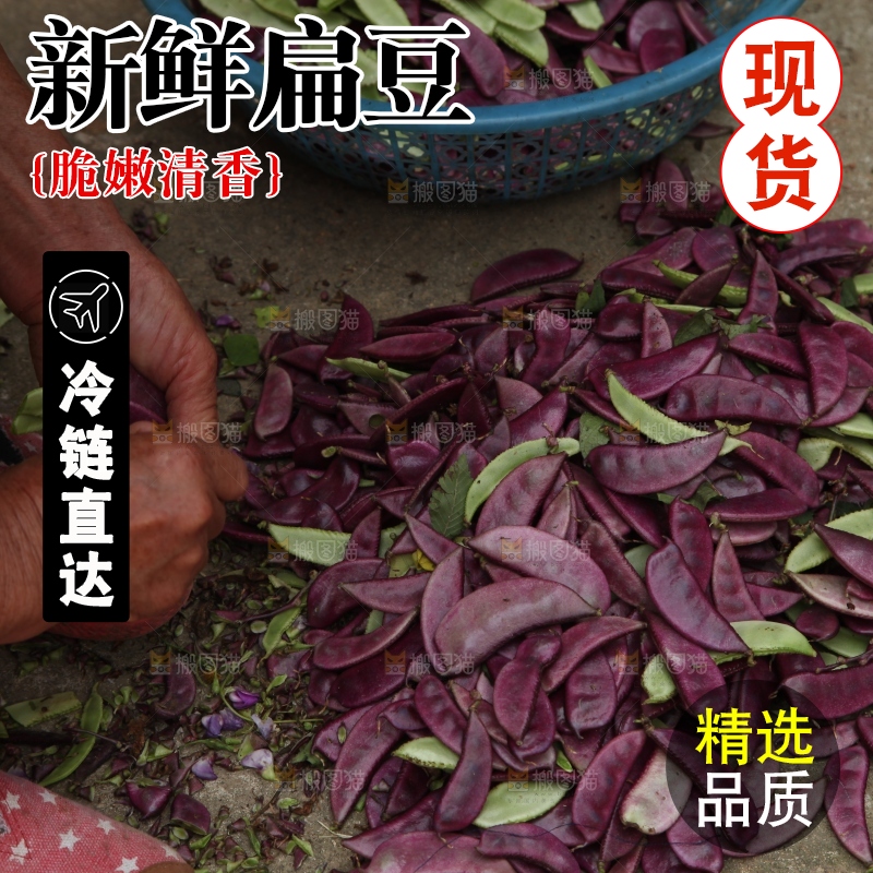 地上的新鲜紫扁豆
