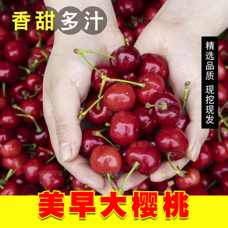 堆放着美早大樱桃