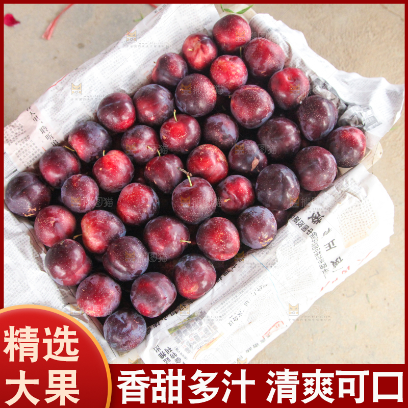 堆放着的新鲜红布林李子