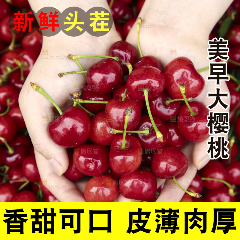 堆放着美早大樱桃