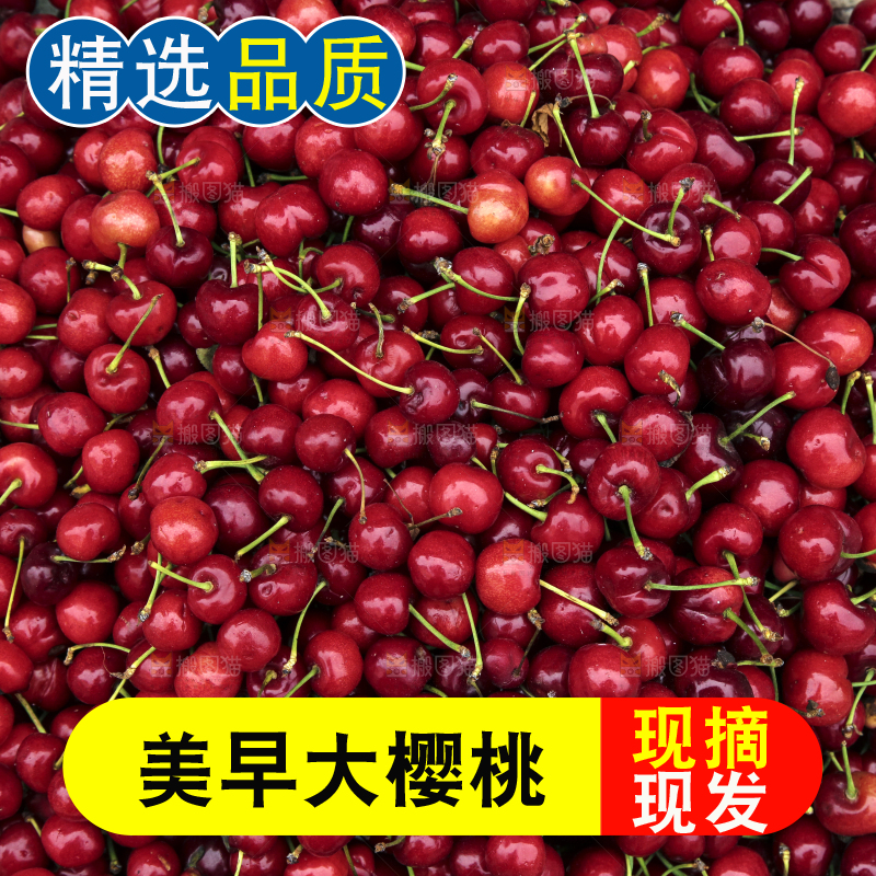车厘子主图