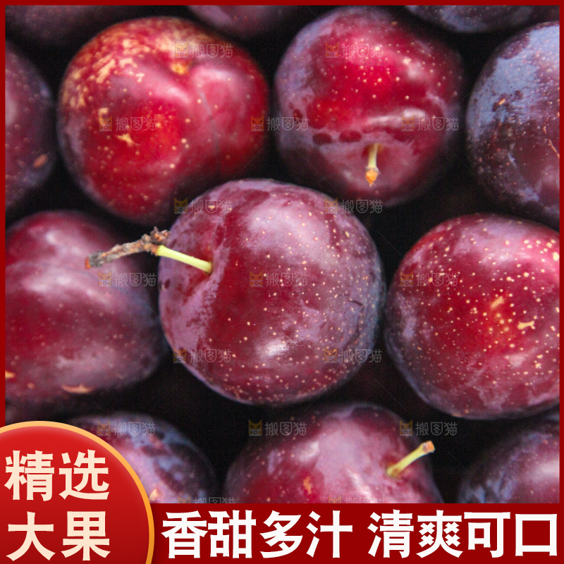 堆放着的新鲜红布林李子