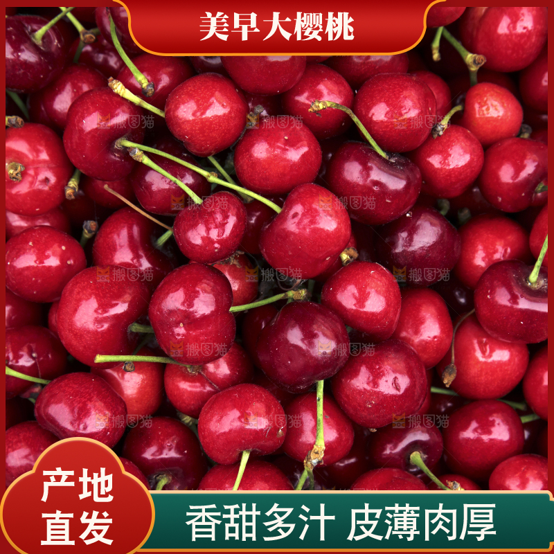 堆放着美早大樱桃