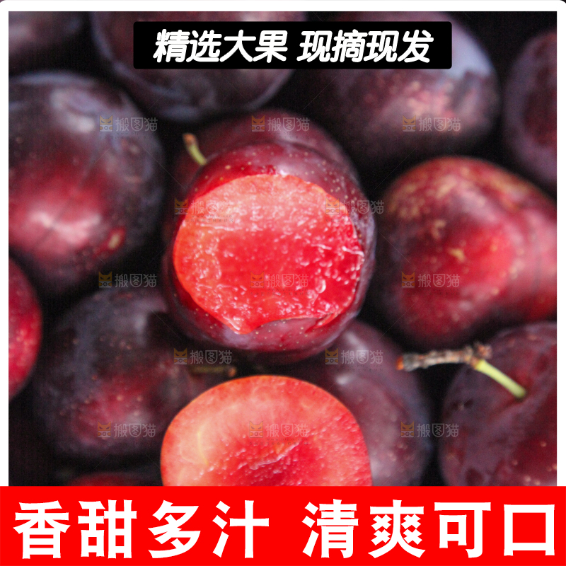 堆放着的新鲜红布林李子