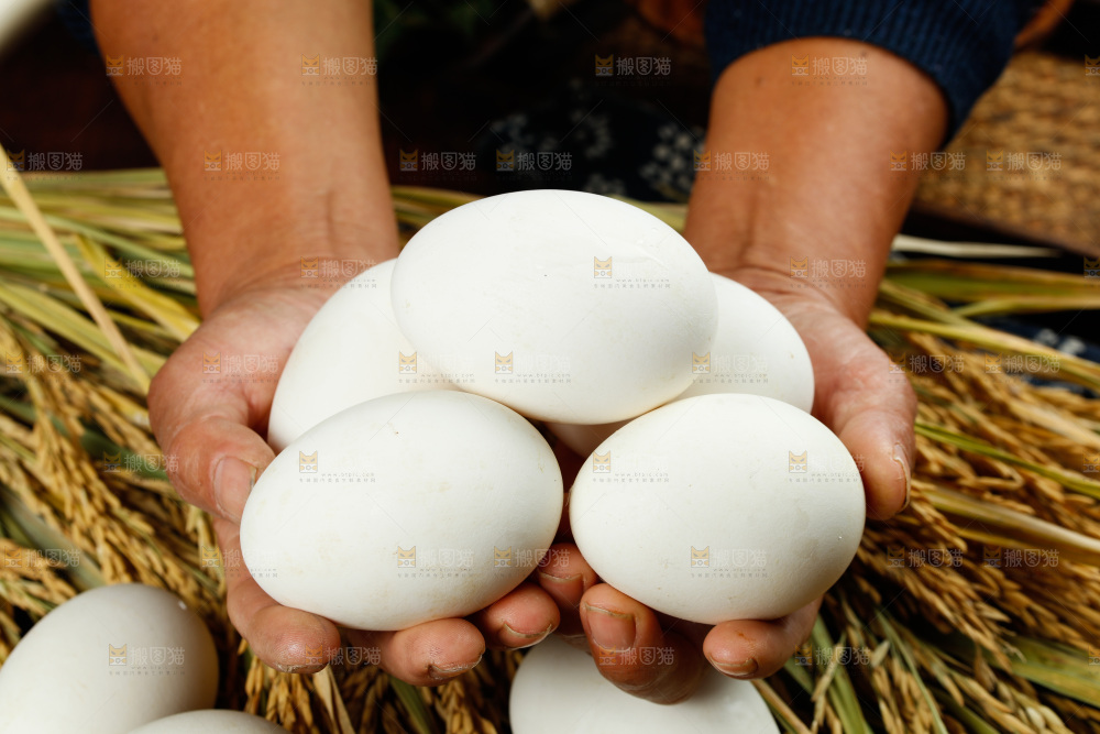 深底上的鹅蛋