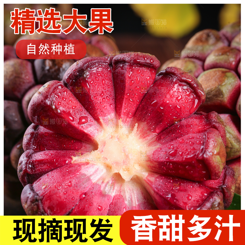深底上的黑老虎