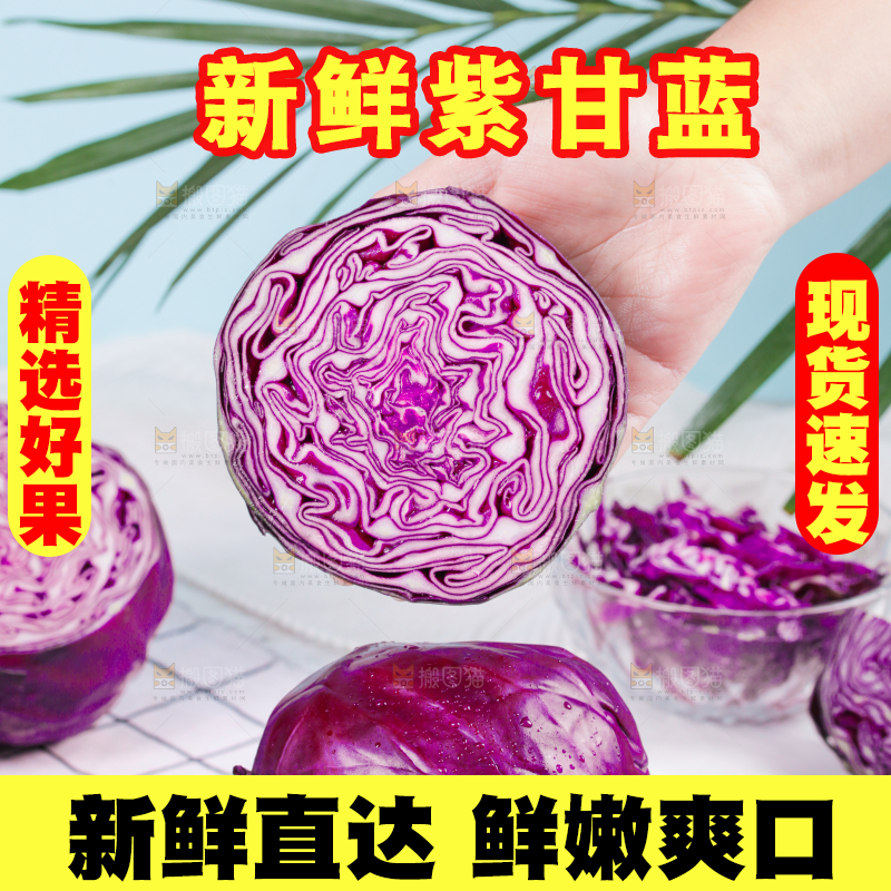 浅底上的紫甘蓝