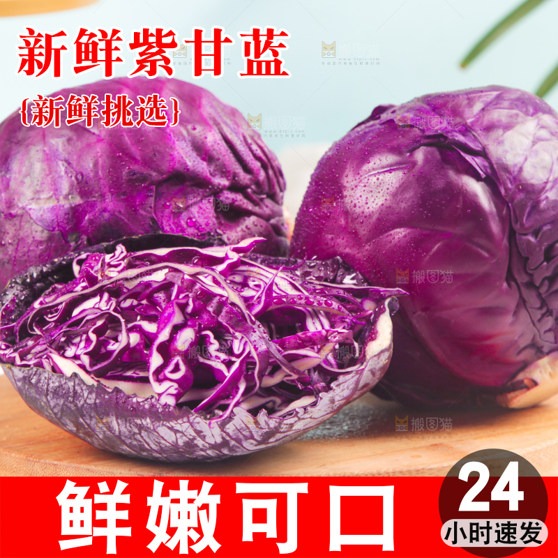 浅底上的紫甘蓝