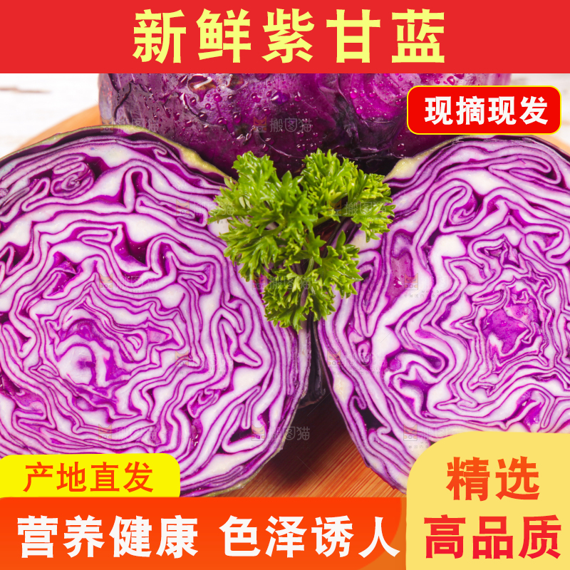 浅底上的紫甘蓝