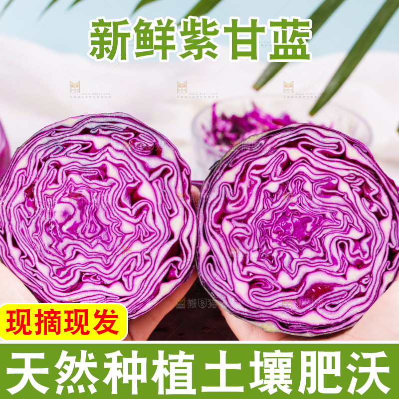 浅底上的紫甘蓝