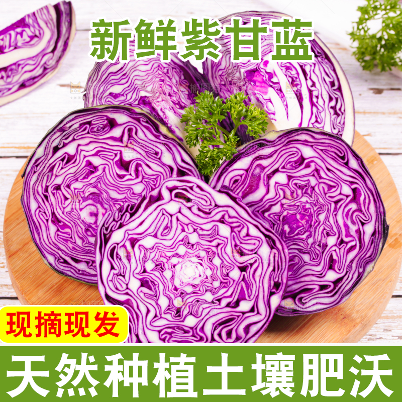 浅底上的紫甘蓝