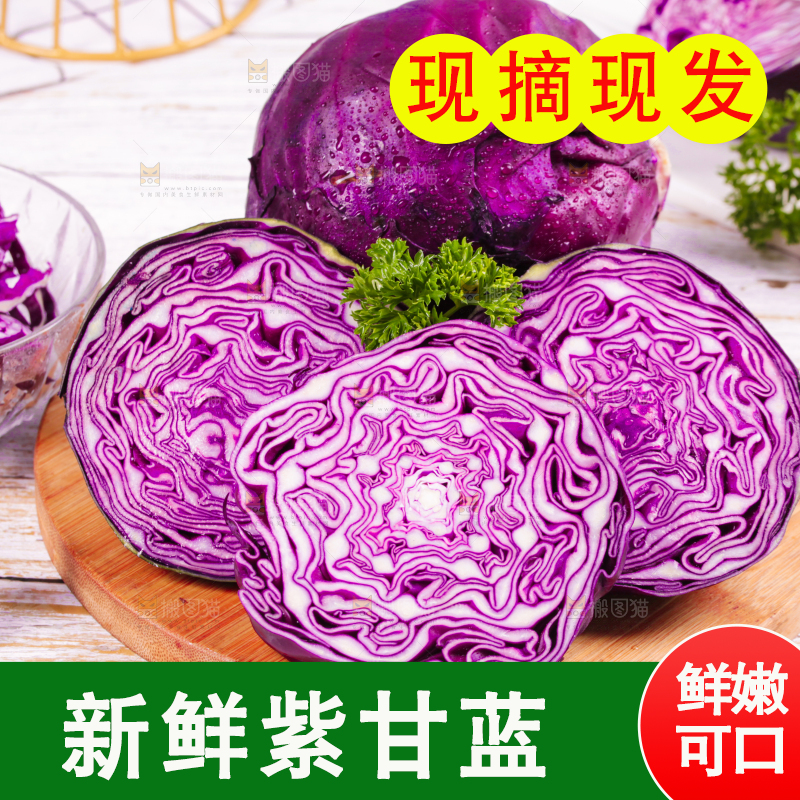 浅底上的紫甘蓝