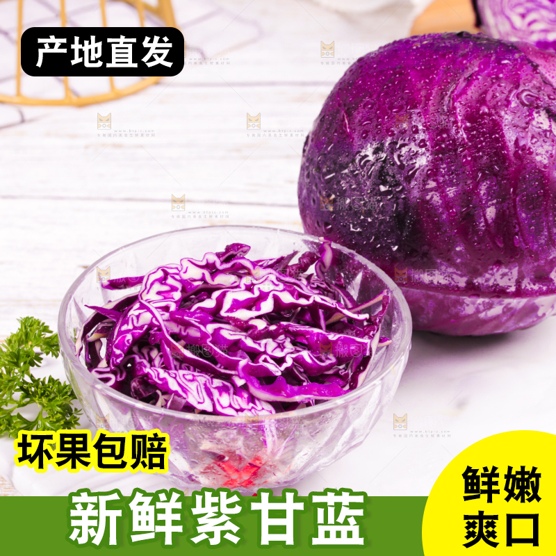浅底上的紫甘蓝