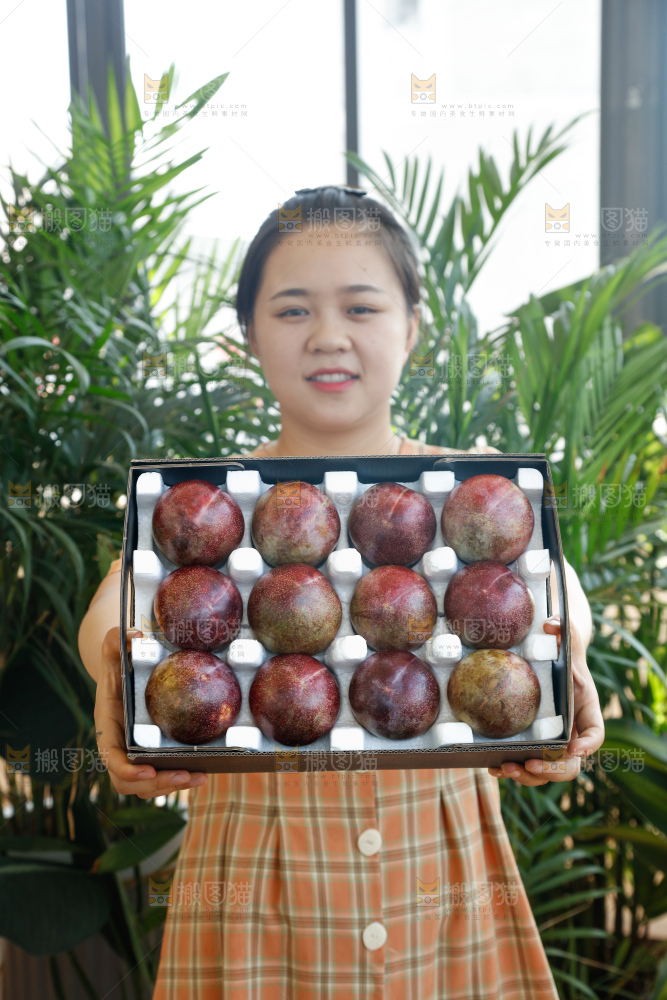 手里拿着恐龙蛋李