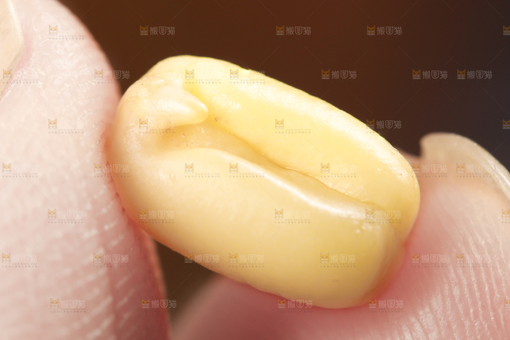 木底上的红豆