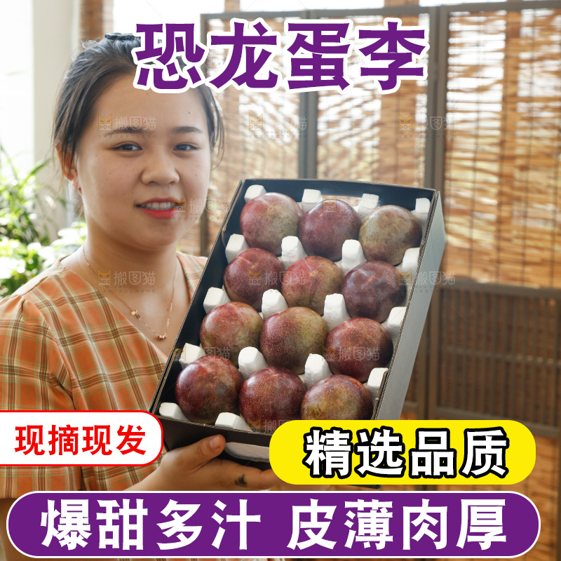 手里拿着恐龙蛋李