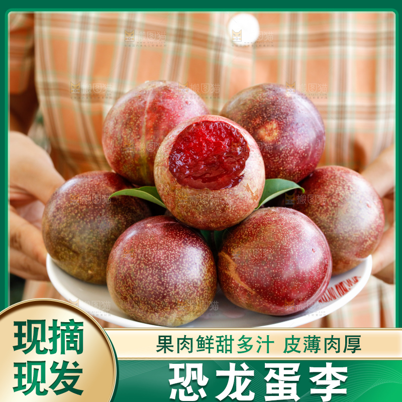 手里拿着恐龙蛋李