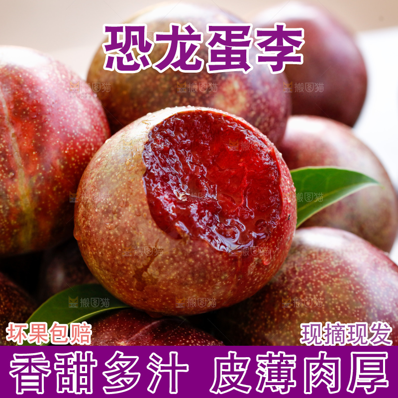 手里拿着恐龙蛋李