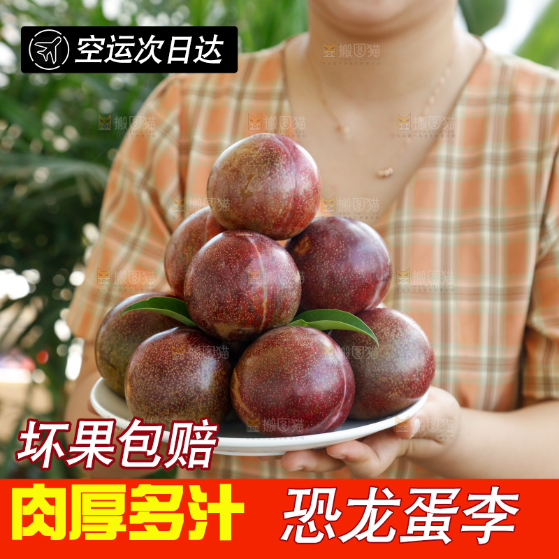 手里拿着恐龙蛋李