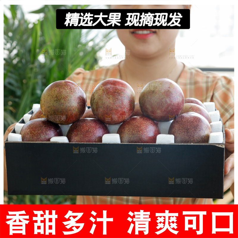手里拿着恐龙蛋李