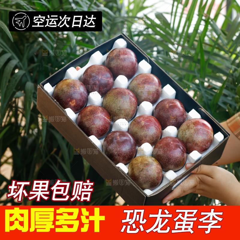 手里拿着恐龙蛋李