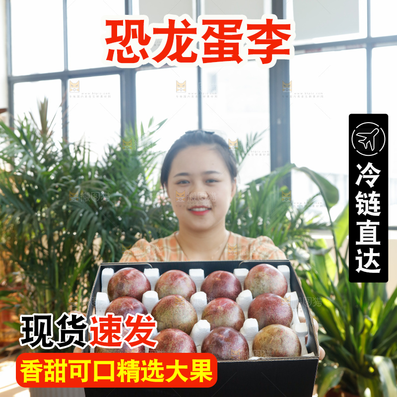 手里拿着恐龙蛋李