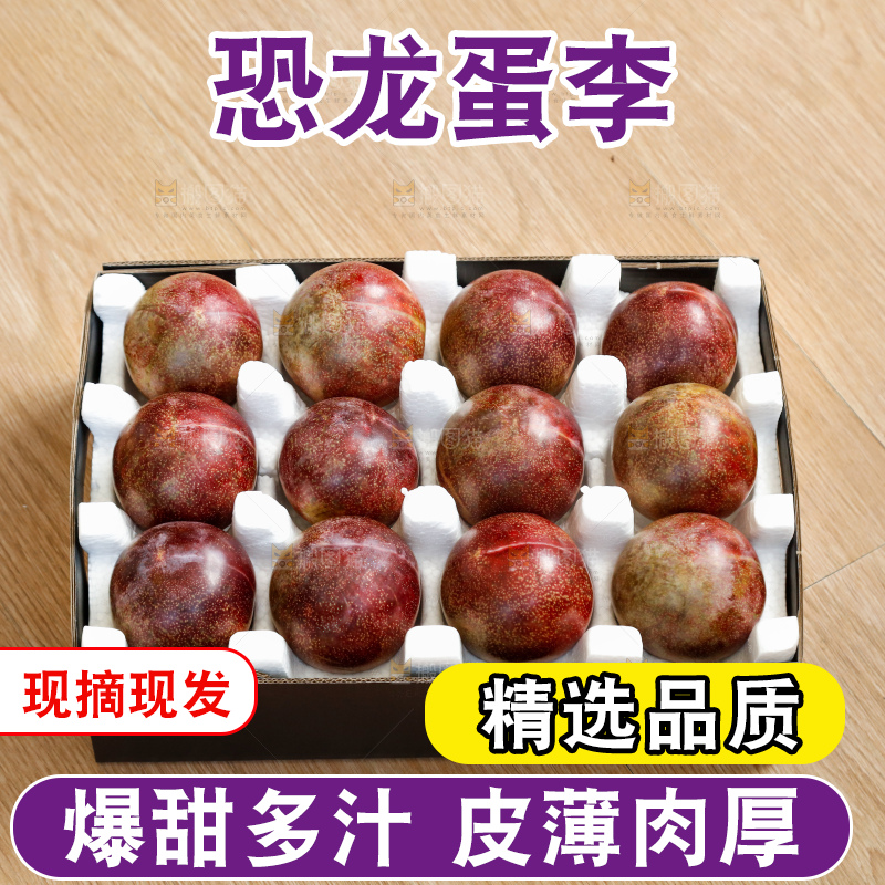 手里拿着恐龙蛋李