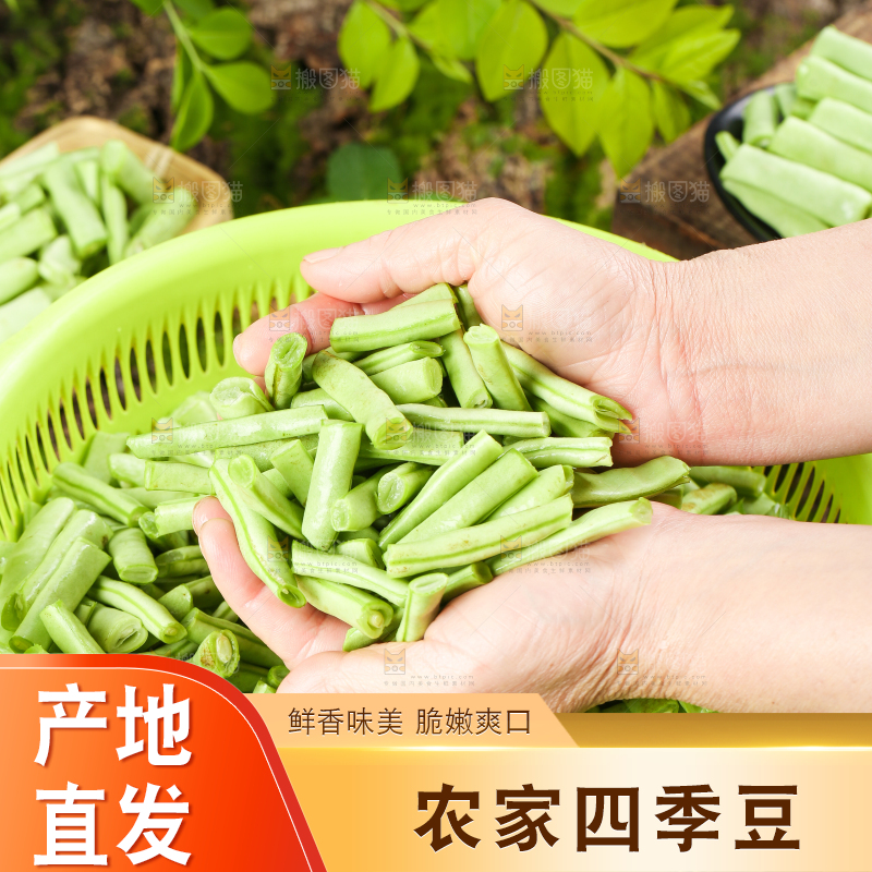 木底上的四季豆