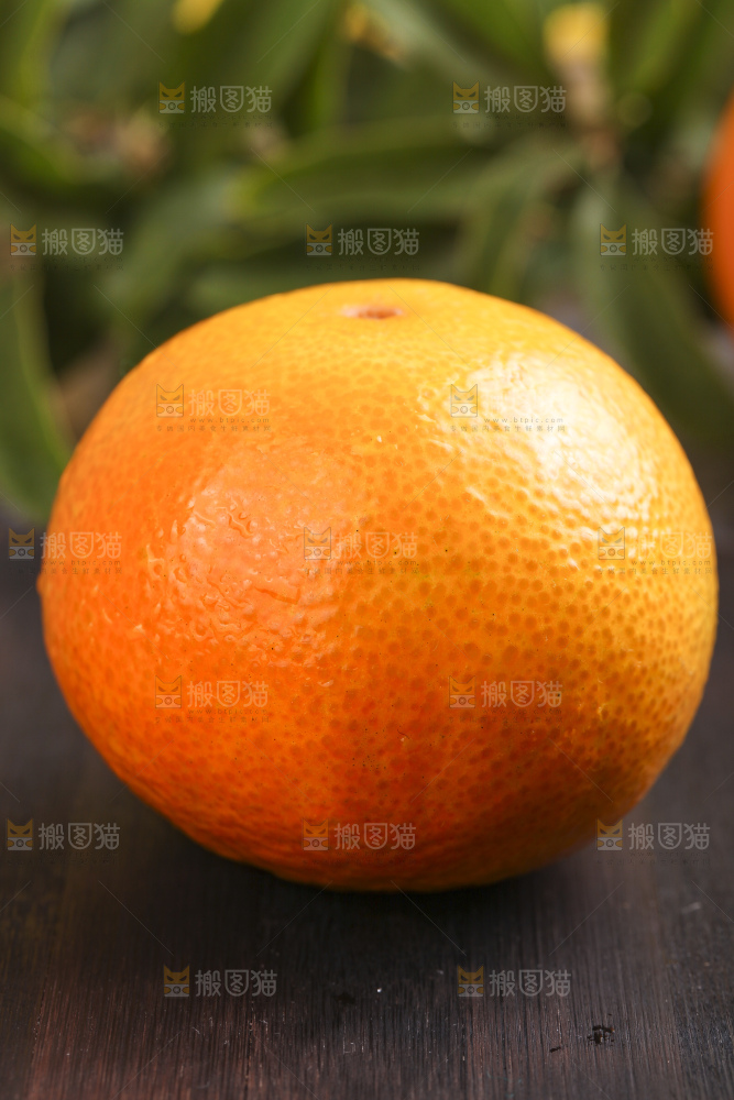 深底上的爱媛果冻橙