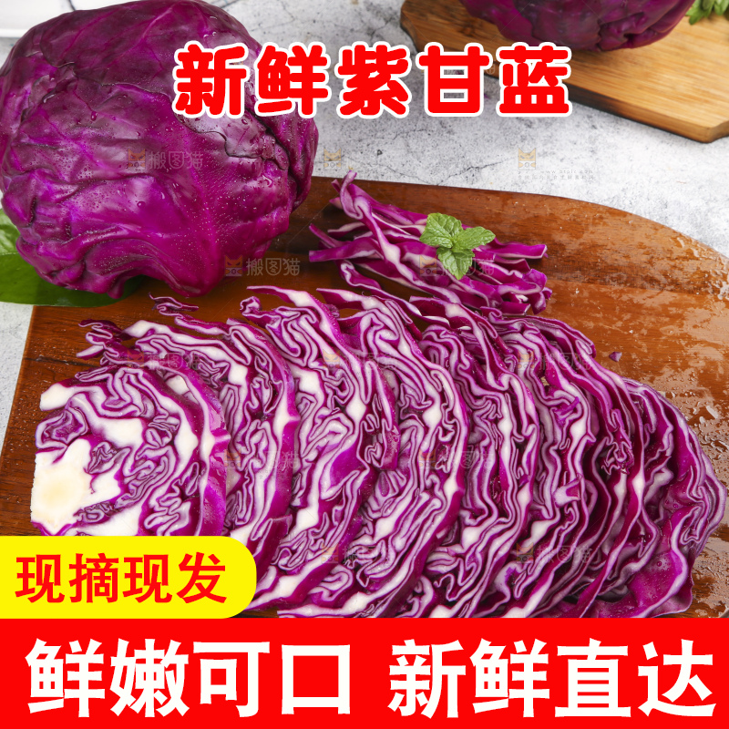 浅底上的紫甘蓝