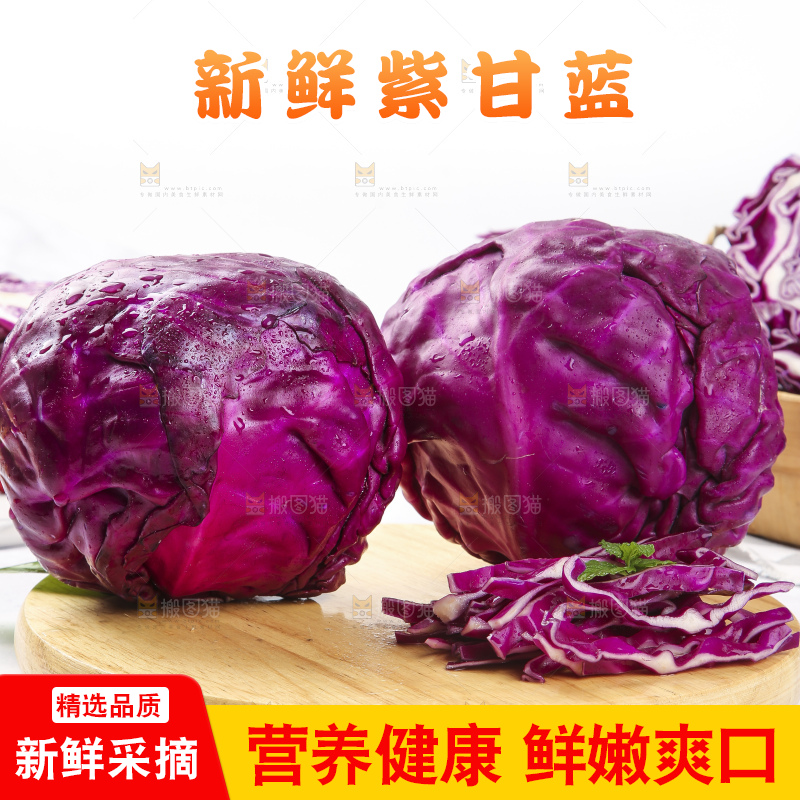 浅底上的紫甘蓝