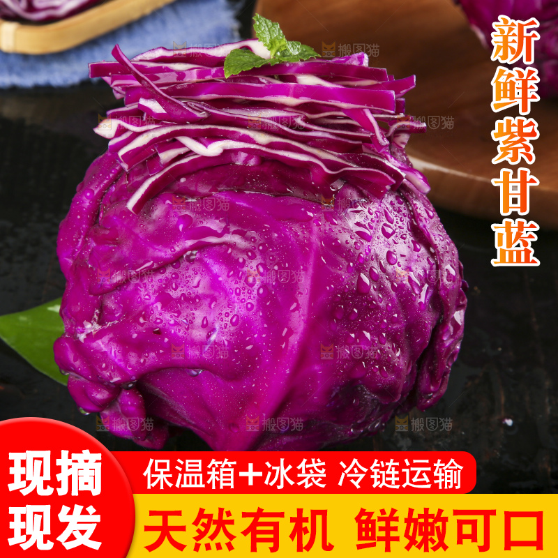 深底上的紫甘蓝