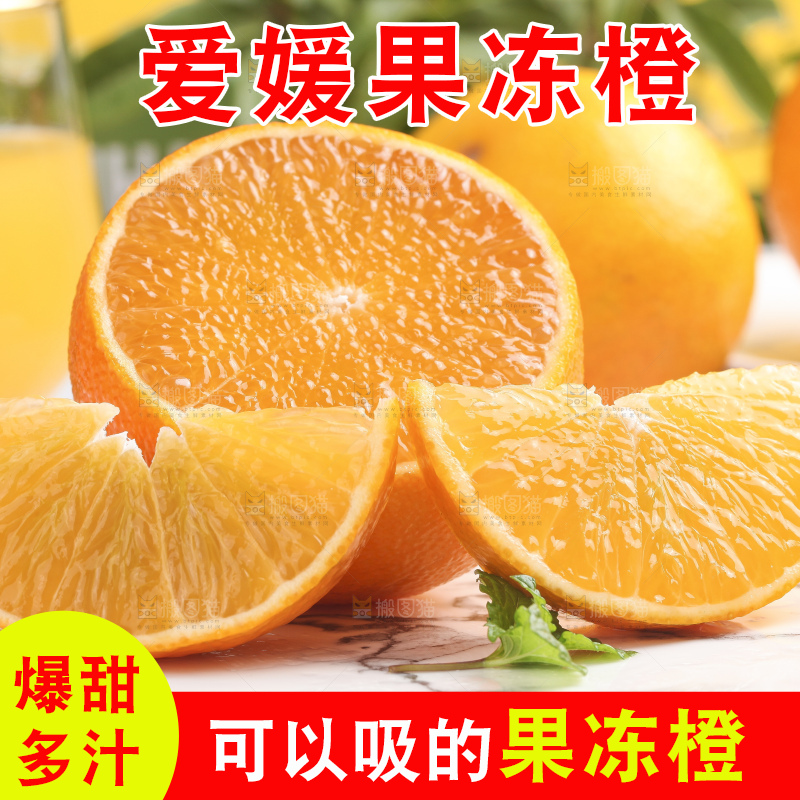 浅底上的爱媛果冻橙