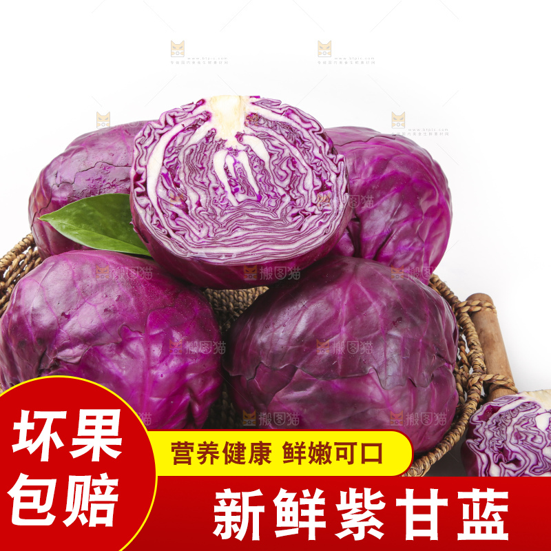 白底上的紫甘蓝