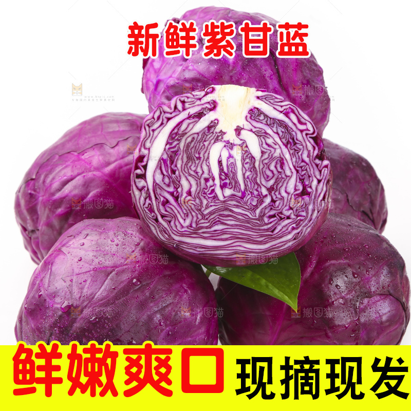 白底上的紫甘蓝