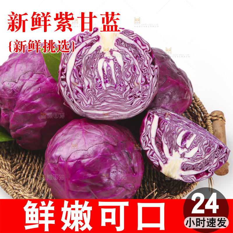 白底上的紫甘蓝