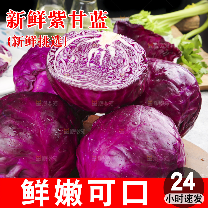 浅底上的紫甘蓝
