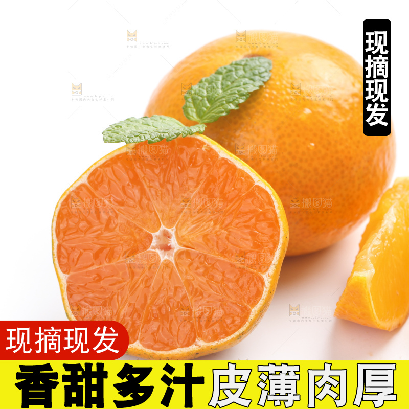 白底上的爱媛果冻橙