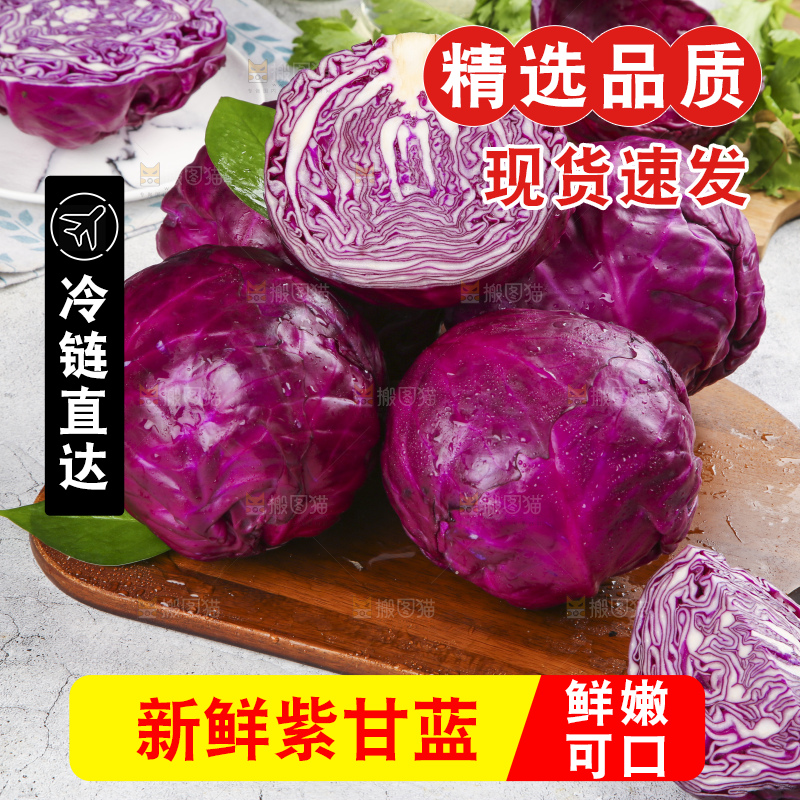 浅底上的紫甘蓝