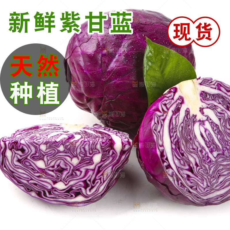 白底上的紫甘蓝