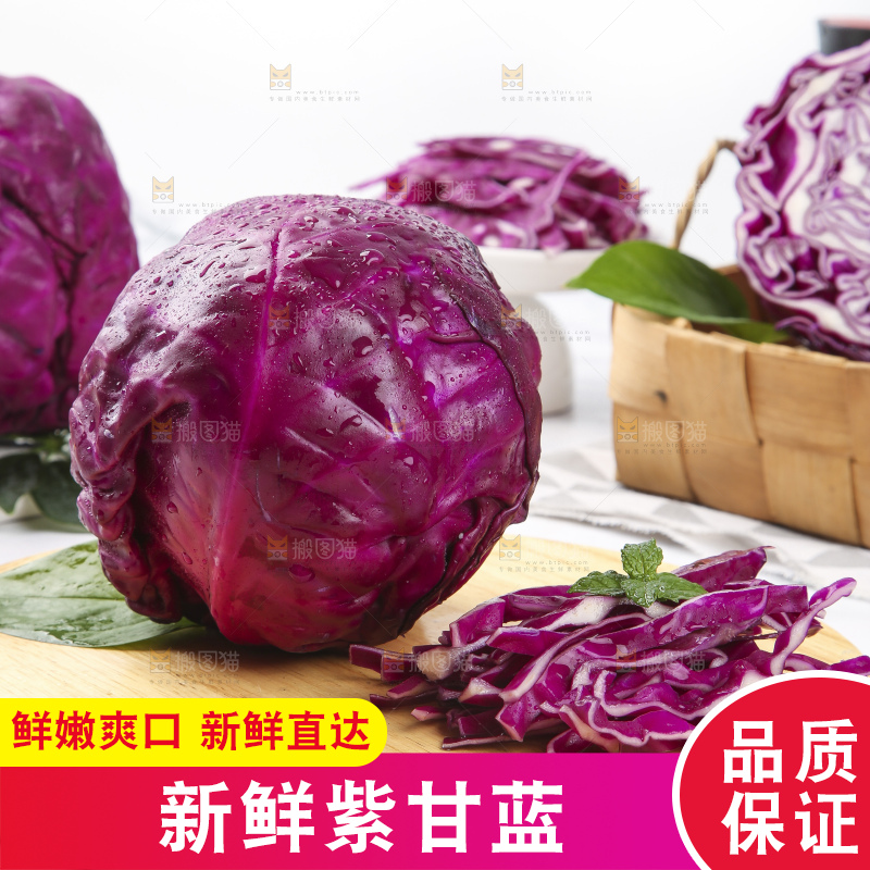 浅底上的紫甘蓝
