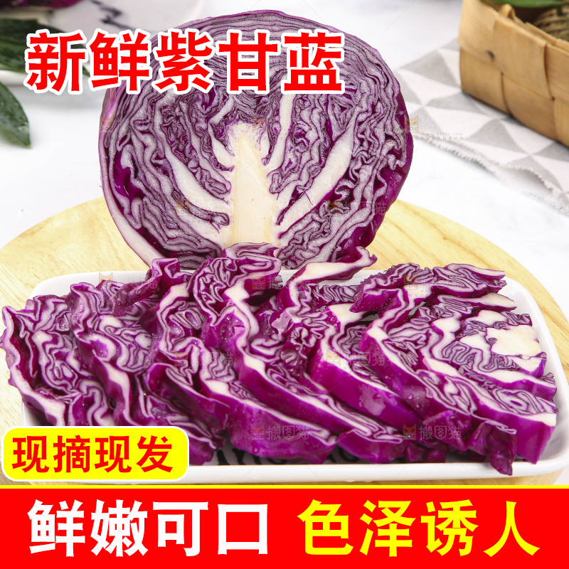 浅底上的紫甘蓝