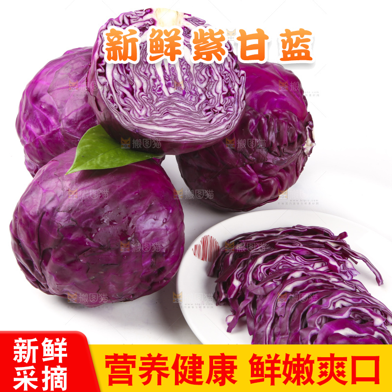 白底上的紫甘蓝