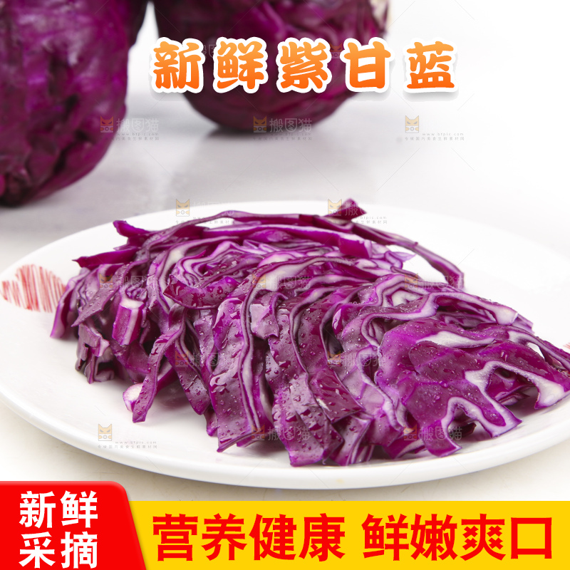 白底上的紫甘蓝