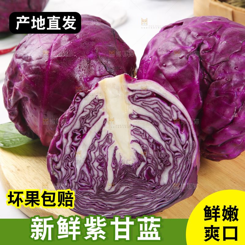 浅底上的紫甘蓝