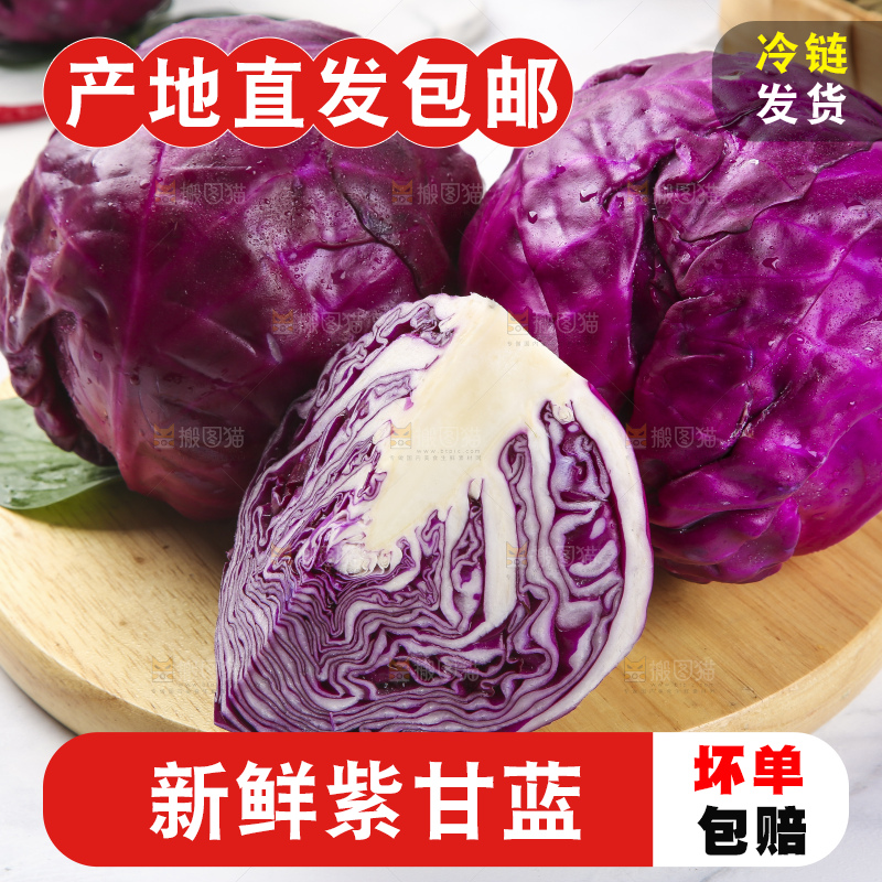 浅底上的紫甘蓝