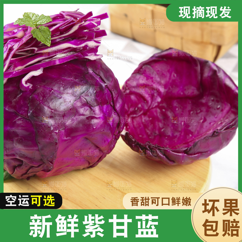 浅底上的紫甘蓝